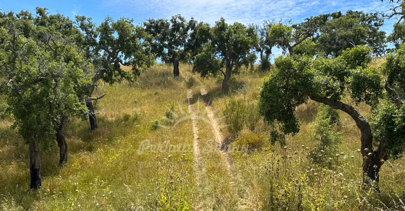 Terreno Misto para Venda em Santiago do Cacém, Santa Cruz e São Bartolomeu da Serra Foto 11