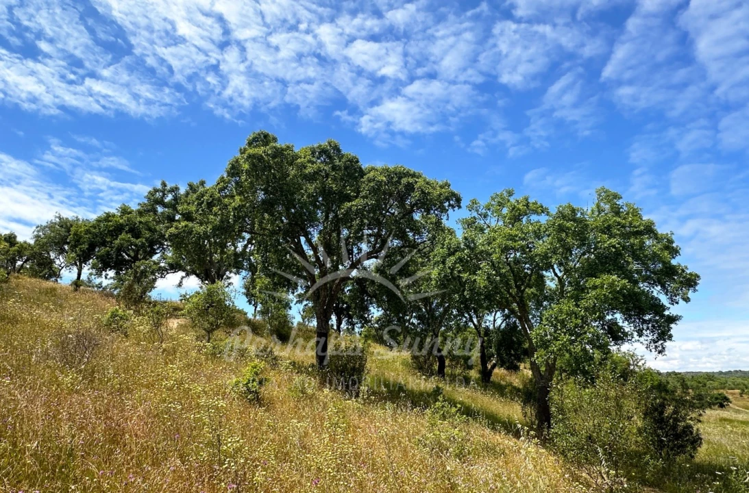 Terreno Misto para Venda em Santiago do Cacém, Santa Cruz e São Bartolomeu da Serra Foto 13