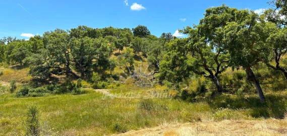Terreno Misto para Venda em Santiago do Cacém, Santa Cruz e São Bartolomeu da Serra