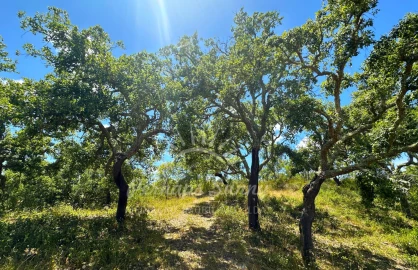 Terreno Misto para Venda em Santiago do Cacém, Santa Cruz e São Bartolomeu da Serra