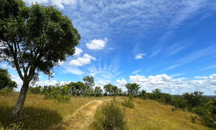 Terreno Misto para Venda em Santiago do Cacém, Santa Cruz e São Bartolomeu da Serra