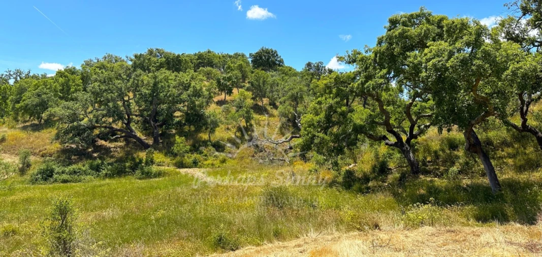 Terreno Misto para Venda em Santiago do Cacém, Santa Cruz e São Bartolomeu da Serra Foto 6