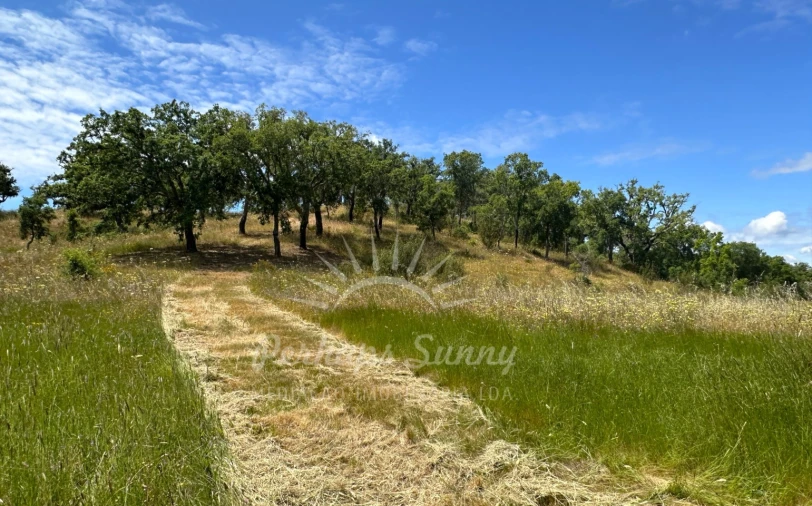 Terreno Misto para Venda em Santiago do Cacém, Santa Cruz e São Bartolomeu da Serra Foto 17