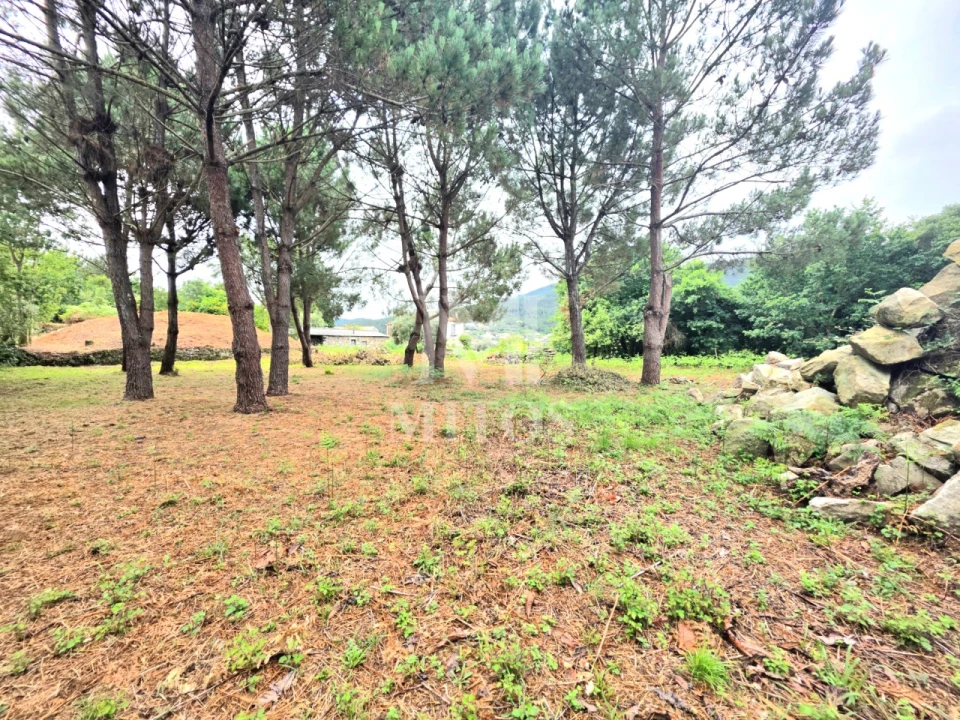 Moradia T4 para Venda em Freixieiro de Soutelo Foto 23