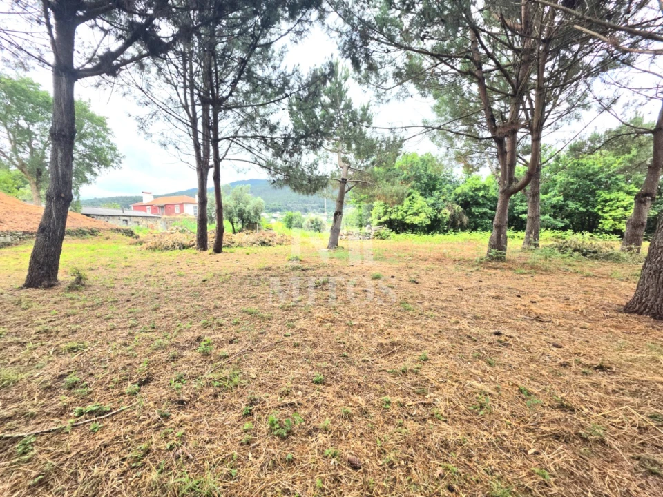 Moradia T4 para Venda em Freixieiro de Soutelo Foto 24