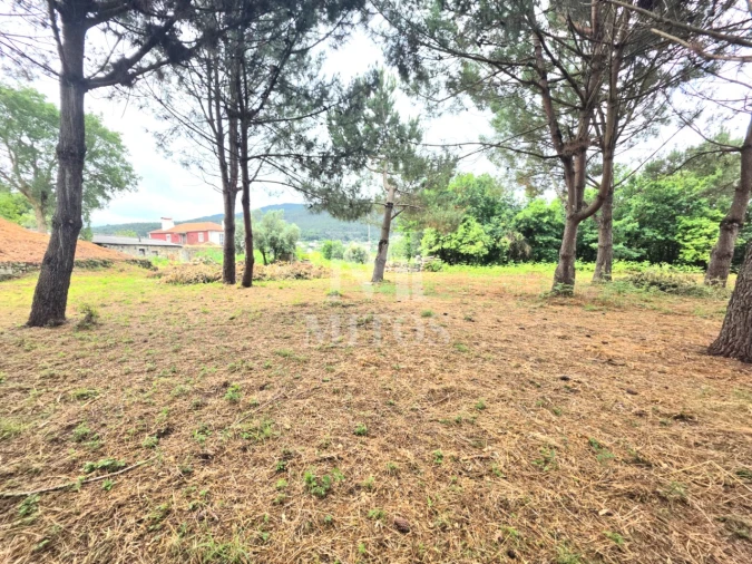 Moradia T4 para Venda em Freixieiro de Soutelo Foto 24