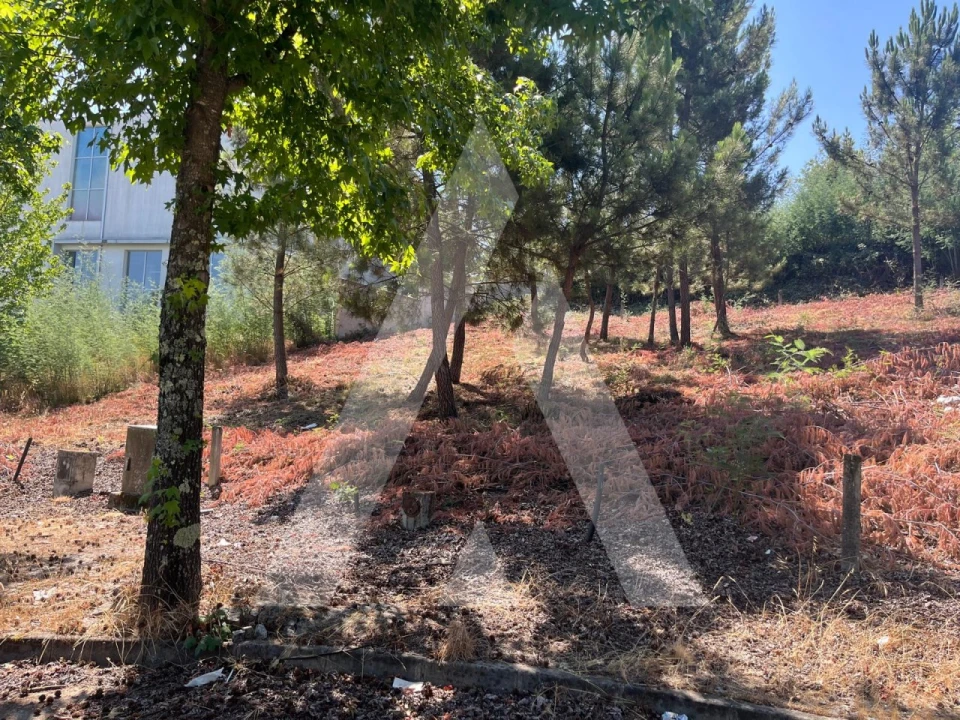 Terreno para Venda em Orgens Foto 2