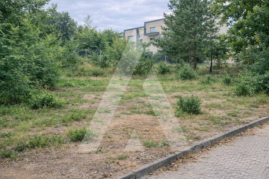 Terreno para Venda em Orgens Foto 3