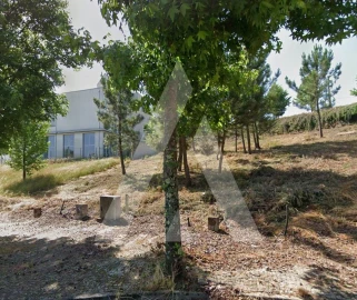 Terreno para Venda em Orgens