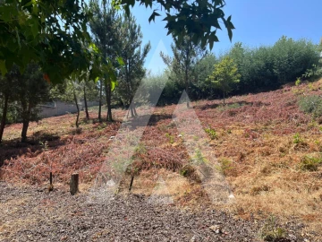 Terreno para Venda em Orgens