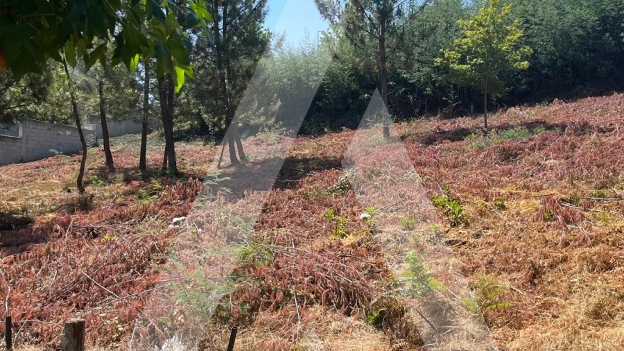 Terreno para Venda em Orgens
