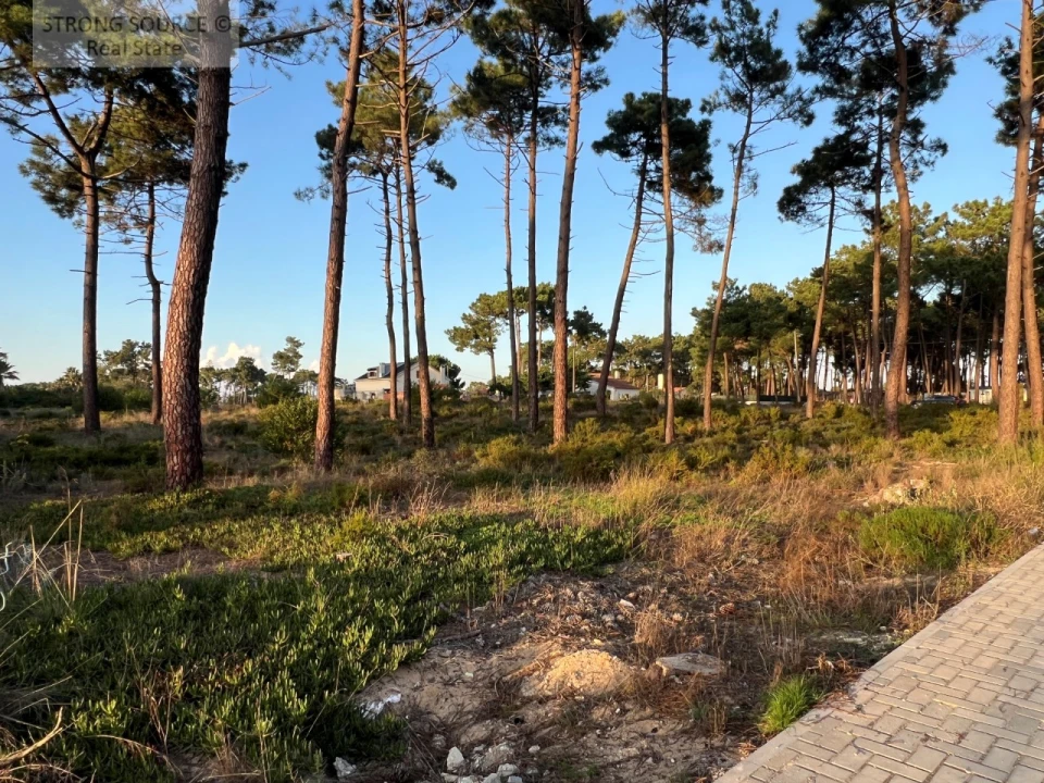Terreno para Venda em Charneca de Caparica e Sobreda Foto 3