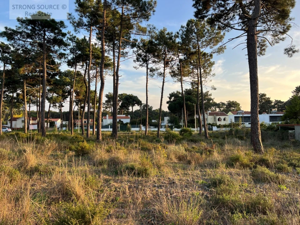 Terreno para Venda em Charneca de Caparica e Sobreda Foto 9
