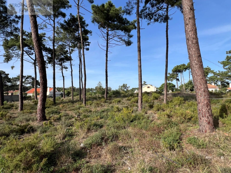 Terreno para Venda em Charneca de Caparica e Sobreda Foto 10