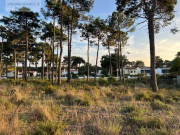 Terreno para Venda em Charneca de Caparica e Sobreda