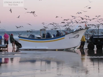 Terreno para Venda em Charneca de Caparica e Sobreda