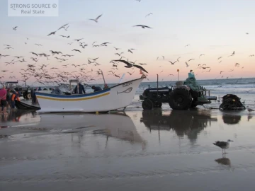 Terreno para Venda em Charneca de Caparica e Sobreda