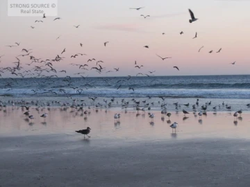 Terreno para Venda em Charneca de Caparica e Sobreda