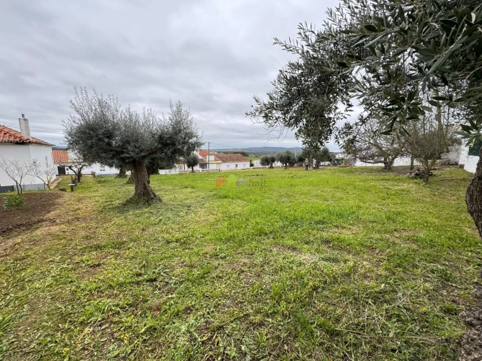 Moradia T1 para Venda em São Gregório e Santa Justa Foto 8