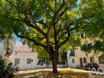 Apartamento T2 para Venda em Cascais e Estoril