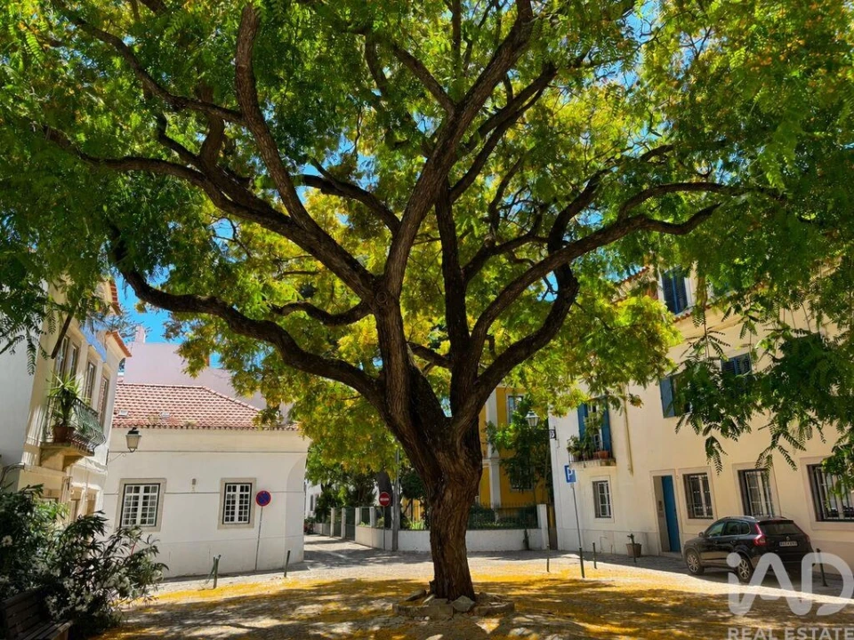 Apartamento T2 para Venda em Cascais e Estoril Foto 29