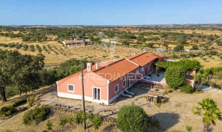 Quinta T5 para Venda em Ourique