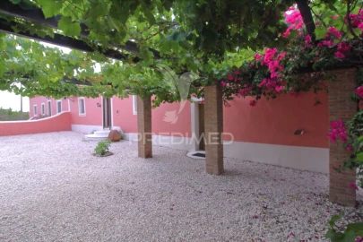 Quinta T5 para Venda em Ourique