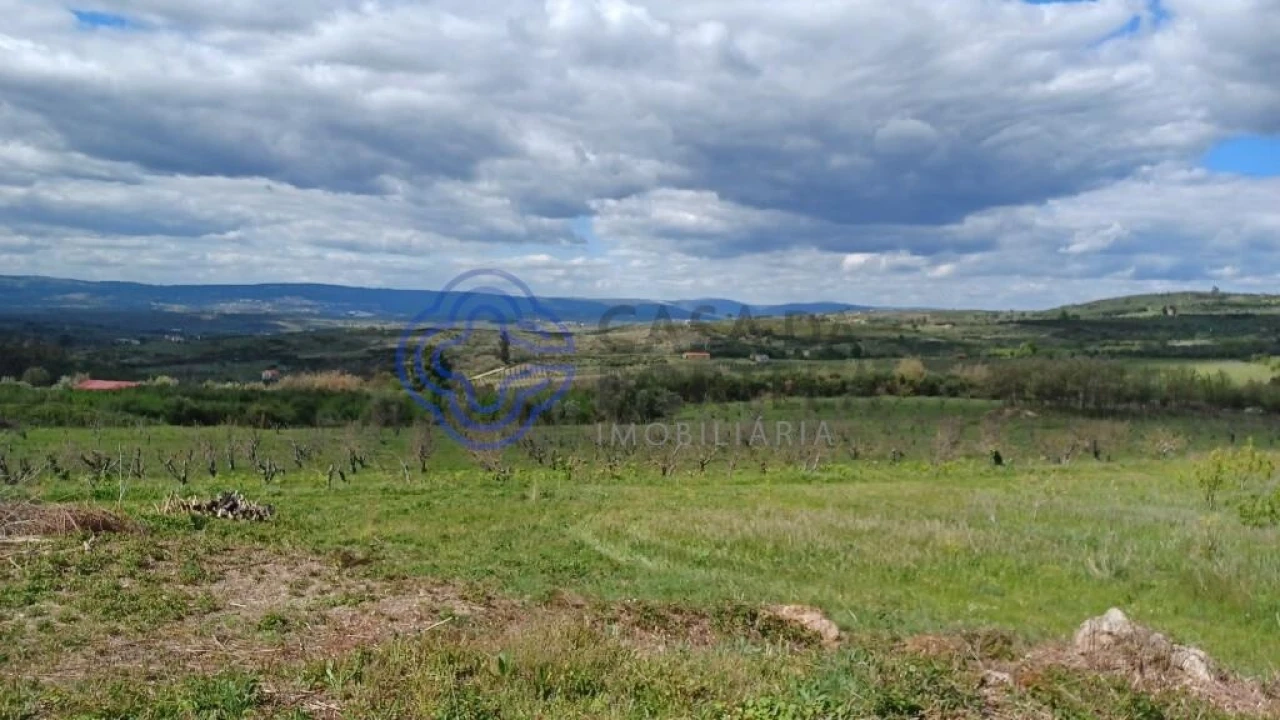 Quinta T5 para Venda em Melo e Nabais Foto 8