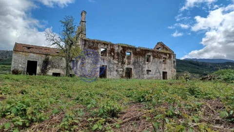 Quinta T5 para Venda em Melo e Nabais