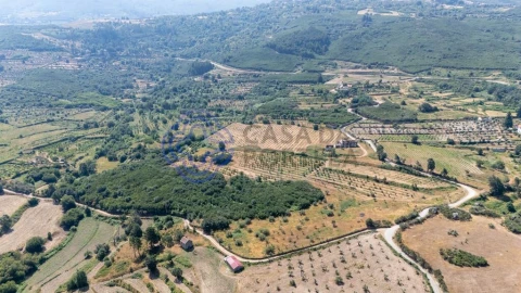 Quinta T5 para Venda em Melo e Nabais