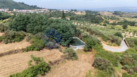 Quinta T5 para Venda em Melo e Nabais