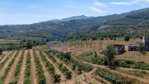 Quinta T5 para Venda em Melo e Nabais