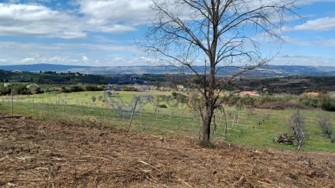 Quinta T5 para Venda em Melo e Nabais