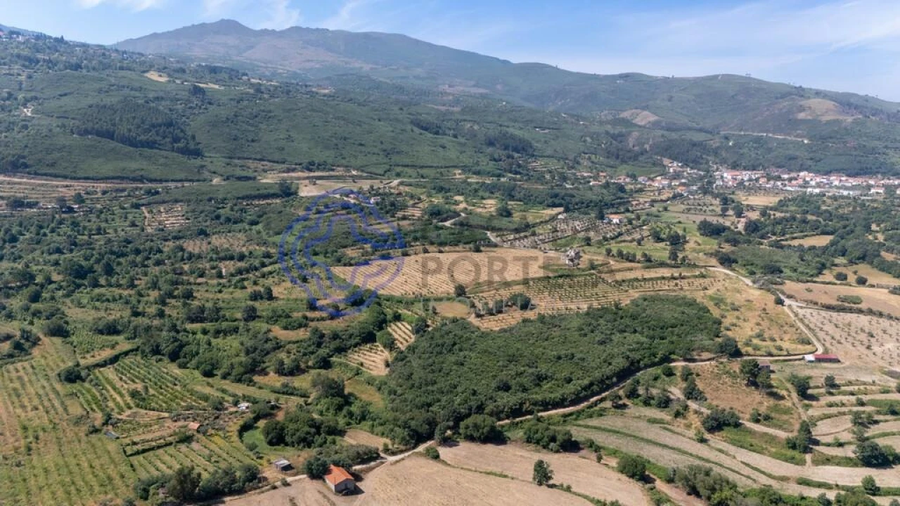 Quinta T5 para Venda em Melo e Nabais Foto 32