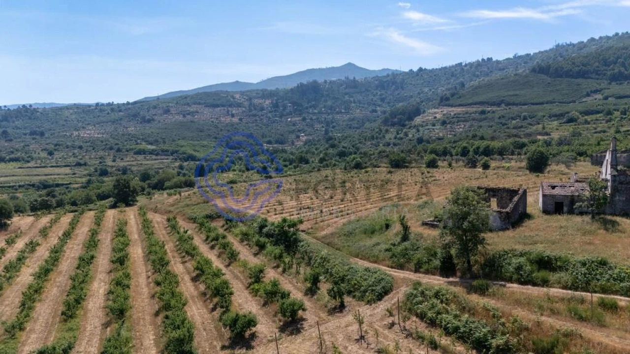 Quinta T5 para Venda em Melo e Nabais Foto 38