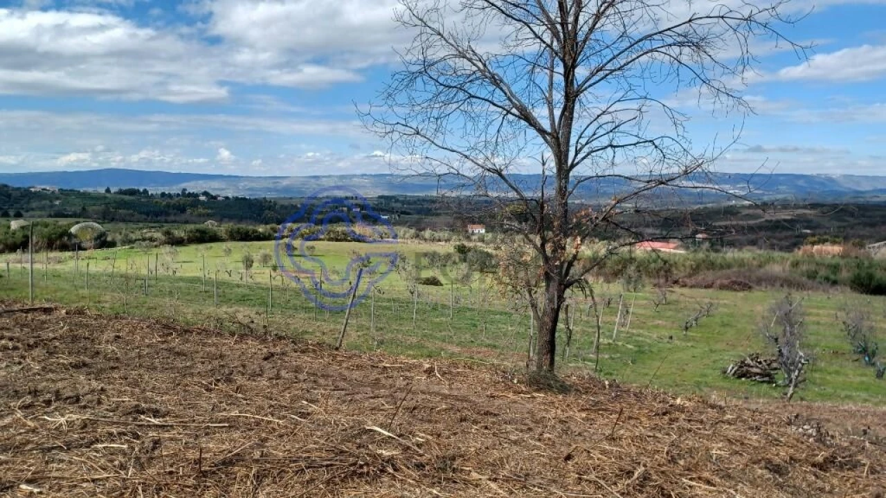 Quinta T5 para Venda em Melo e Nabais Foto 4