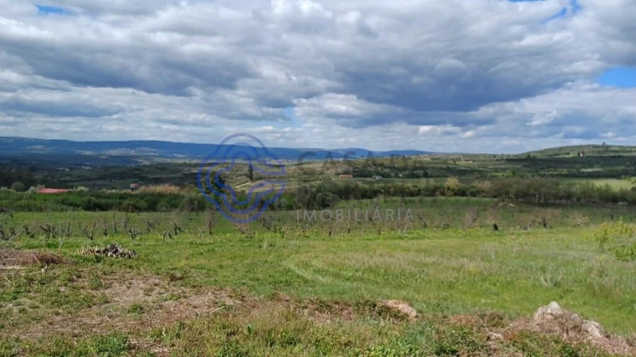 Quinta T5 para Venda em Melo e Nabais Foto 8