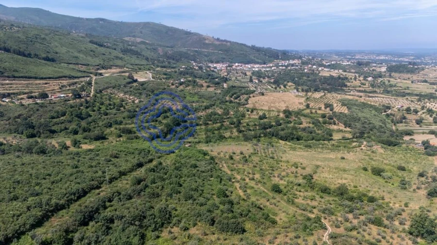 Quinta T5 para Venda em Melo e Nabais Foto 34