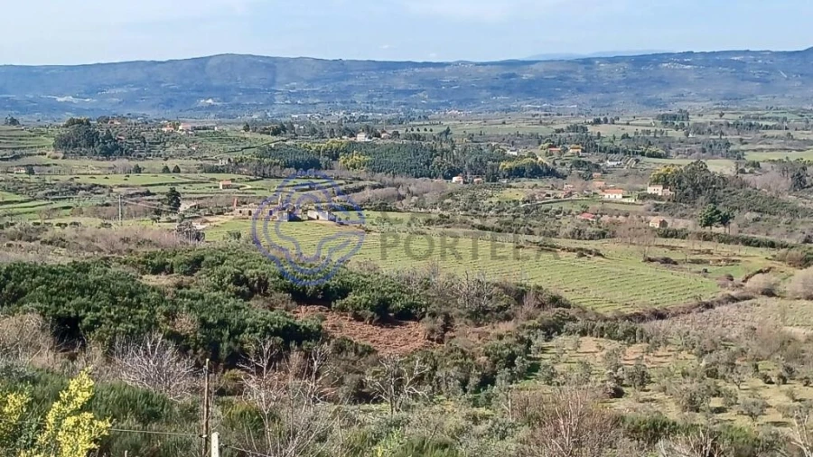 Quinta T5 para Venda em Melo e Nabais