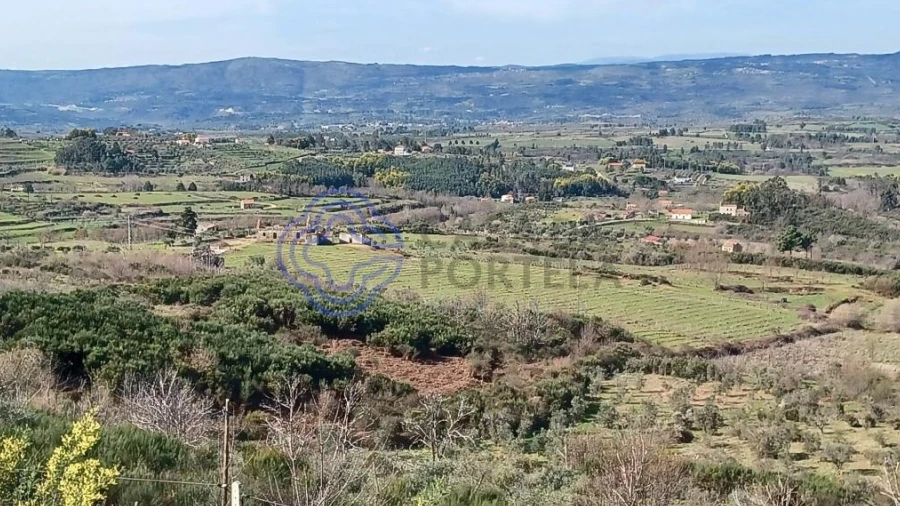 Quinta T5 para Venda em Melo e Nabais