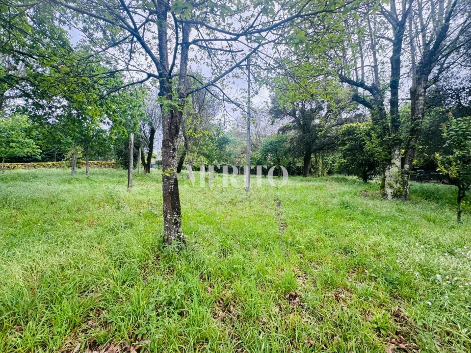 Moradia T3 para Venda em Ponte Foto 3