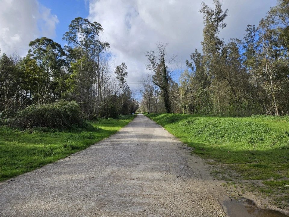 Terreno para Venda em São João do Campo Foto 11