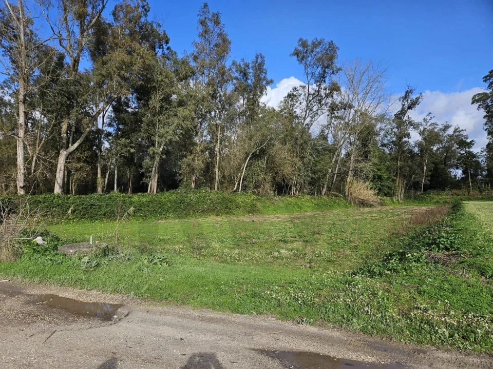 Terreno para Venda em São João do Campo Foto 6