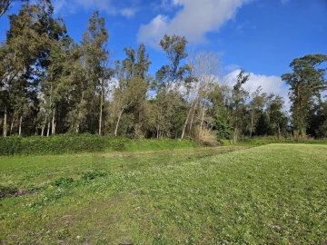 Terreno para Venda em São João do Campo