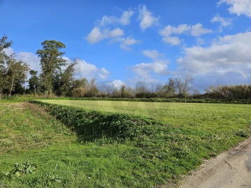 Terreno para Venda em São João do Campo