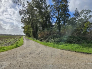 Terreno para Venda em São João do Campo