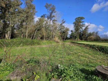 Terreno para Venda em São João do Campo