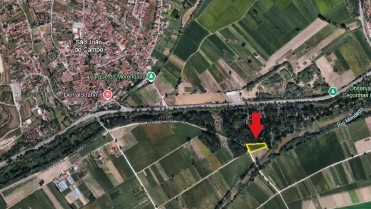 Terreno para Venda em São João do Campo Foto 12