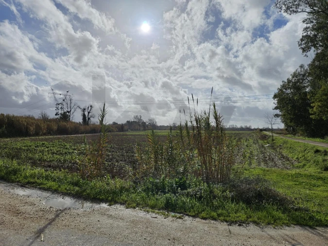 Terreno para Venda em São João do Campo Foto 9