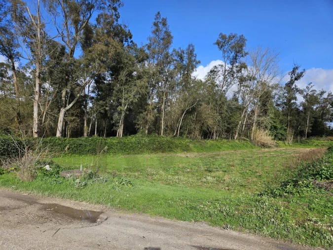 Terreno para Venda em São João do Campo Foto 7